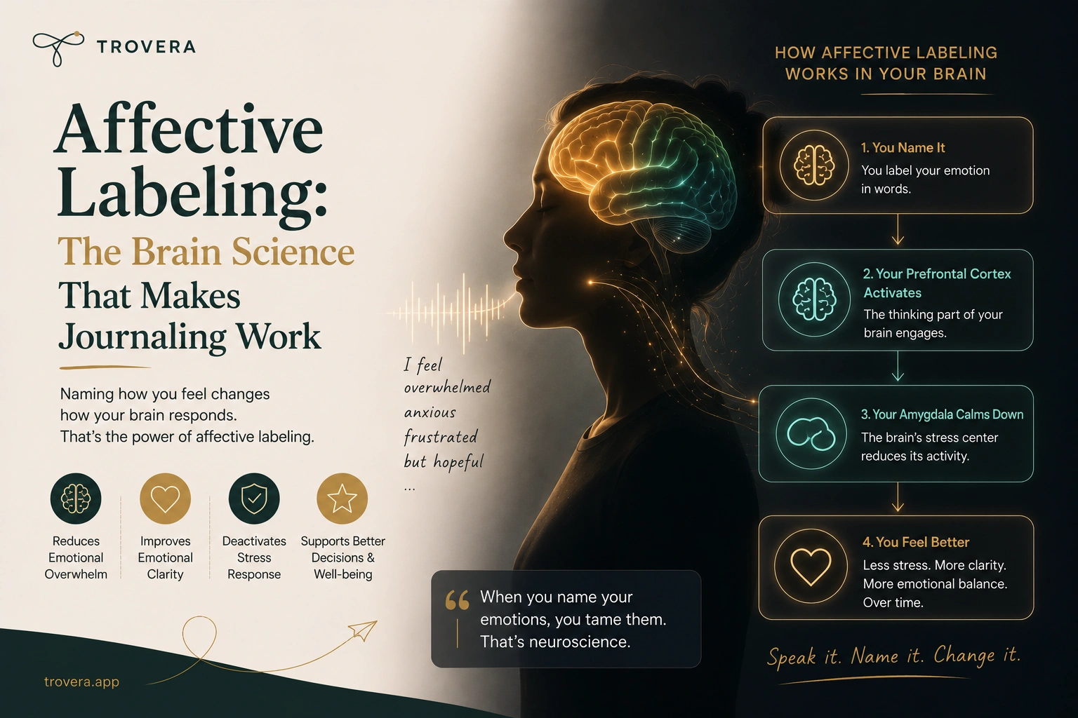 Affective Labeling: The Brain Science That Makes Journaling Work