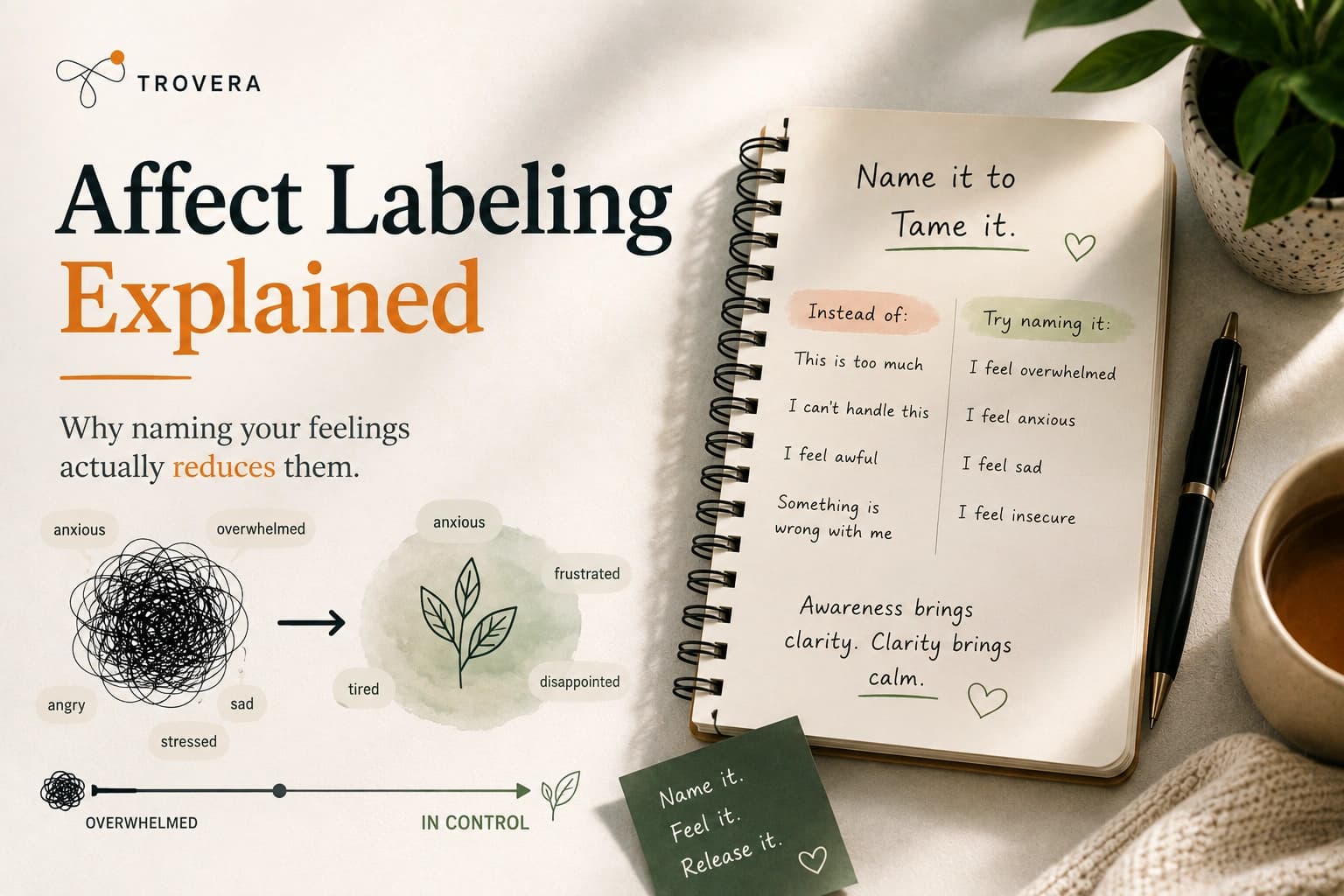 Affect Labeling Explained — Why Naming Your Feelings Actually Reduces Them (2026) — Trovera voice journaling